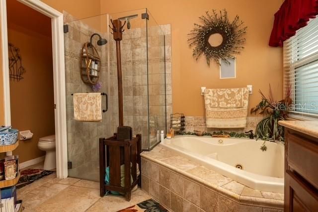 4605 OAK RIVER, Valrico, FL 33596