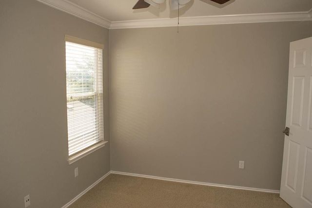 1708 Darjeeling DR, Pflugerville, TX 78660