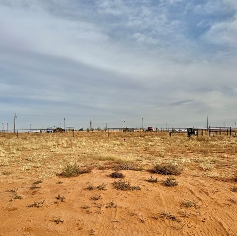 2314 County Rd C2801, Stanton, TX 79782