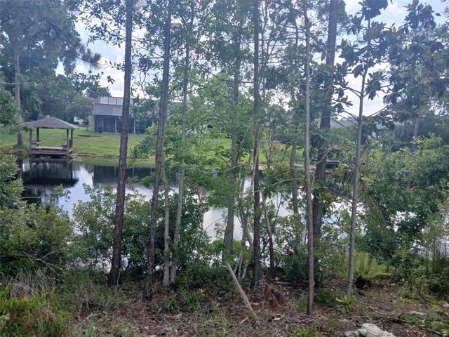 52 BUD HOLLOW DRIVE, Palm Coast, FL 32137