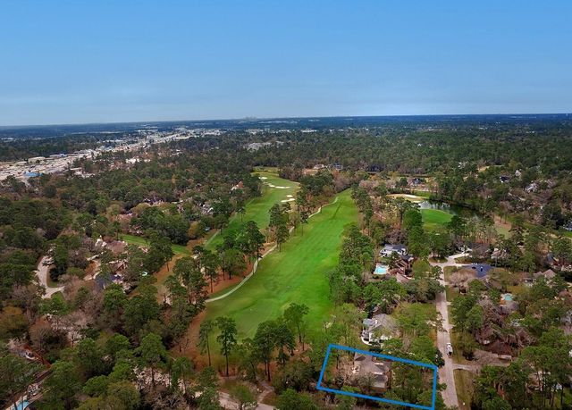 2 Box Turtle Lane, The Woodlands, TX 77380
