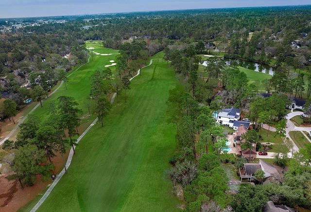 2 Box Turtle Lane, The Woodlands, TX 77380