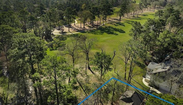 2 Box Turtle Lane, The Woodlands, TX 77380