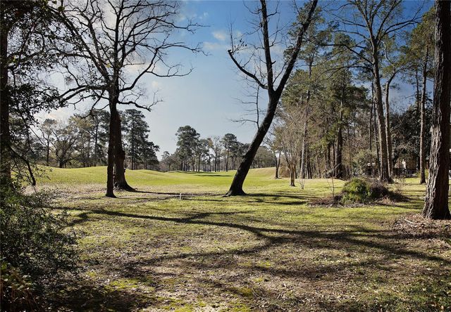 2 Box Turtle Lane, The Woodlands, TX 77380