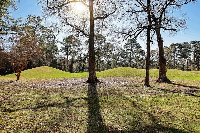 2 Box Turtle Lane, The Woodlands, TX 77380