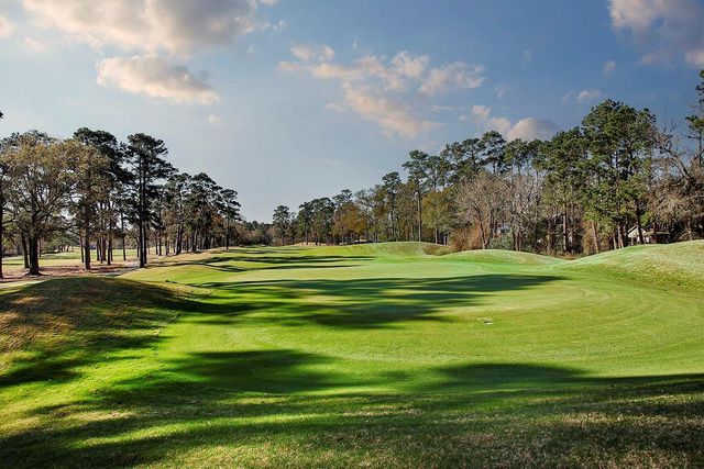 2 Box Turtle Lane, The Woodlands, TX 77380