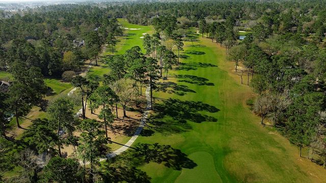 2 Box Turtle Lane, The Woodlands, TX 77380