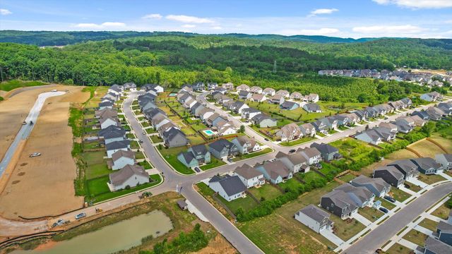 10784 Prairie Lake Drive, Apison, TN 37302