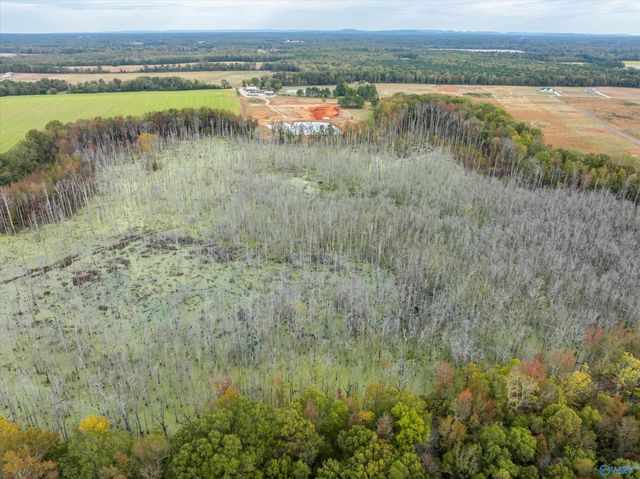 47 Hays Mill Road, Elkmont, AL 35620