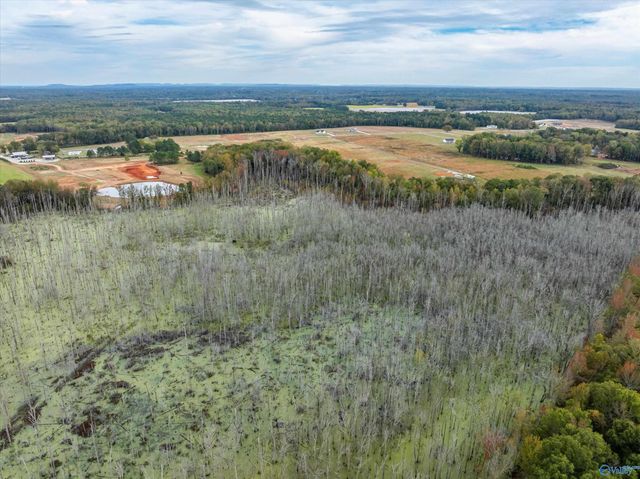 47 Hays Mill Road, Elkmont, AL 35620