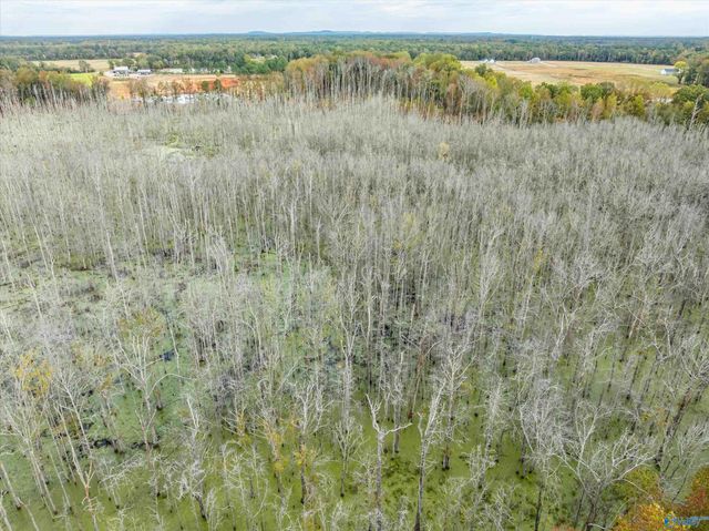 47 Hays Mill Road, Elkmont, AL 35620