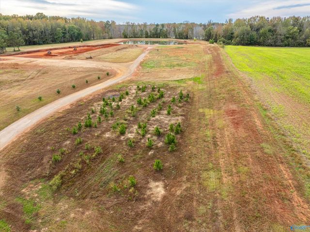 47 Hays Mill Road, Elkmont, AL 35620