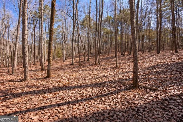 843 Fern Valley Road, Ellijay, GA 30536