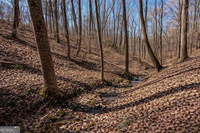 843 Fern Valley Road, Ellijay, GA 30536