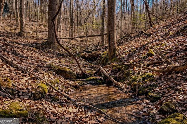 843 Fern Valley Road, Ellijay, GA 30536