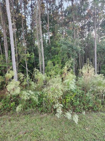 49 Frances Harrell Way, Midway, FL 32343