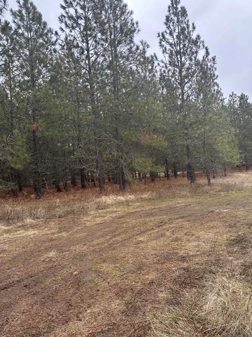 18427 W Burnett Rd, Nine Mile Falls, WA 99026