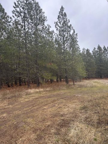 18427 W Burnett Rd, Nine Mile Falls, WA 99026