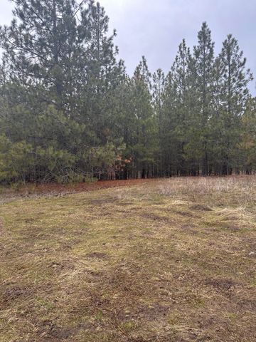 18427 W Burnett Rd, Nine Mile Falls, WA 99026