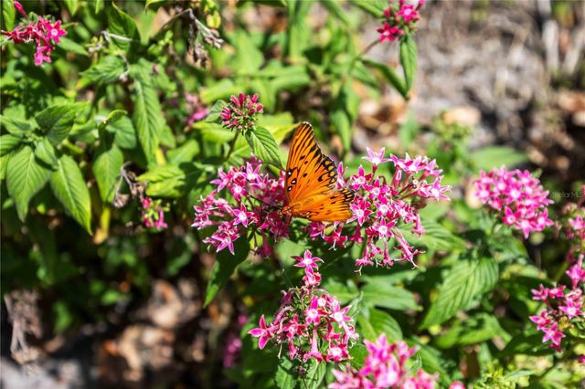 4240 BREEZEWAY BOULEVARD 321, Sarasota, FL 34238