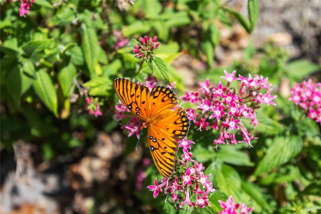 4240 BREEZEWAY BOULEVARD 321, Sarasota, FL 34238