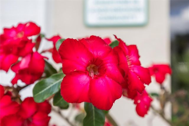 4240 BREEZEWAY BOULEVARD 321, Sarasota, FL 34238