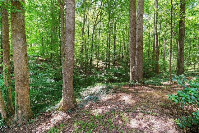 14033 Bold Run Hill Road, Wake Forest, NC 27587