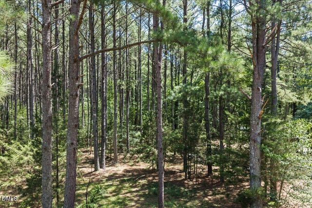 14033 Bold Run Hill Road, Wake Forest, NC 27587