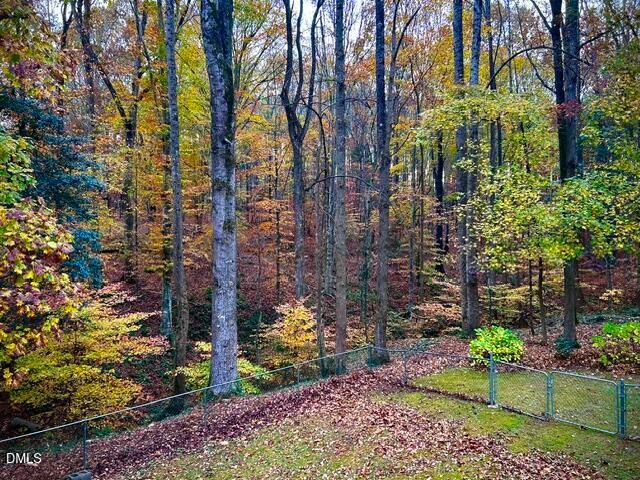 14033 Bold Run Hill Road, Wake Forest, NC 27587