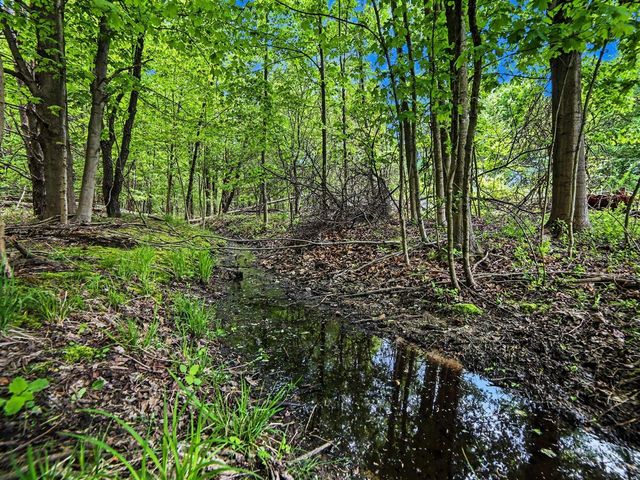 7107 West Webster Road, Montague, MI 49437