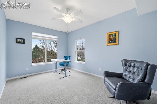 13892 Single Leaf Court, Colorado Springs, CO 80921