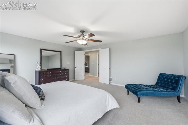 13892 Single Leaf Court, Colorado Springs, CO 80921