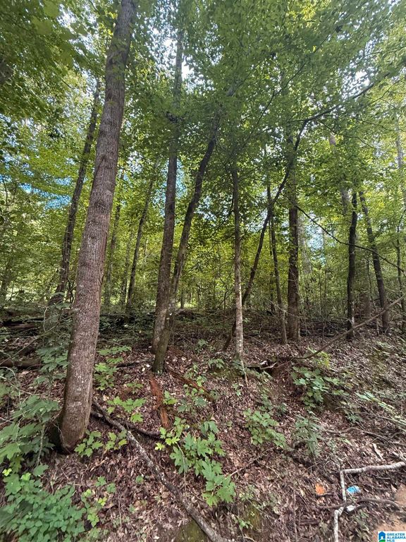 0 COUNTY ROAD 312 W, Maplesville, AL 36750
