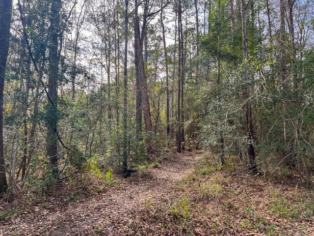 T-2 Hwy 1131, Vidor, TX 77662