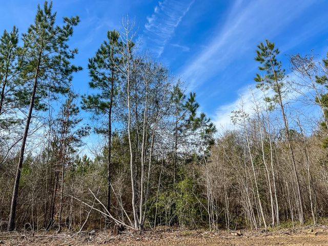 T-2 Hwy 1131, Vidor, TX 77662