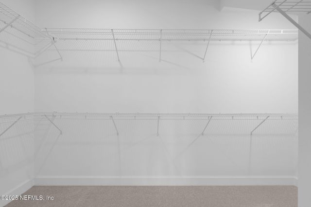 183 OAK BREEZE Drive, Ponte Vedra, FL 32081