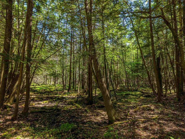 6720 N Rodgers Avenue, Harrison, MI 48625