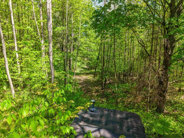 6720 N Rodgers Avenue, Harrison, MI 48625