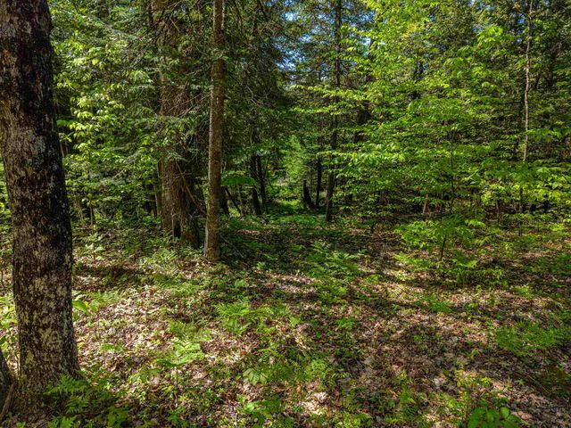 6720 N Rodgers Avenue, Harrison, MI 48625