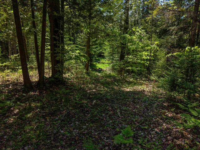 6720 N Rodgers Avenue, Harrison, MI 48625