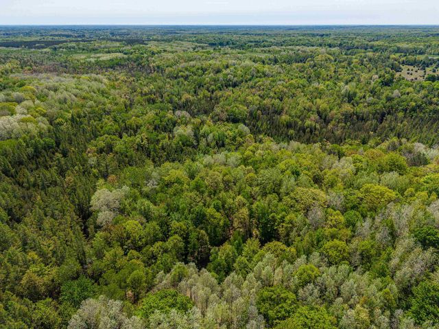6720 N Rodgers Avenue, Harrison, MI 48625