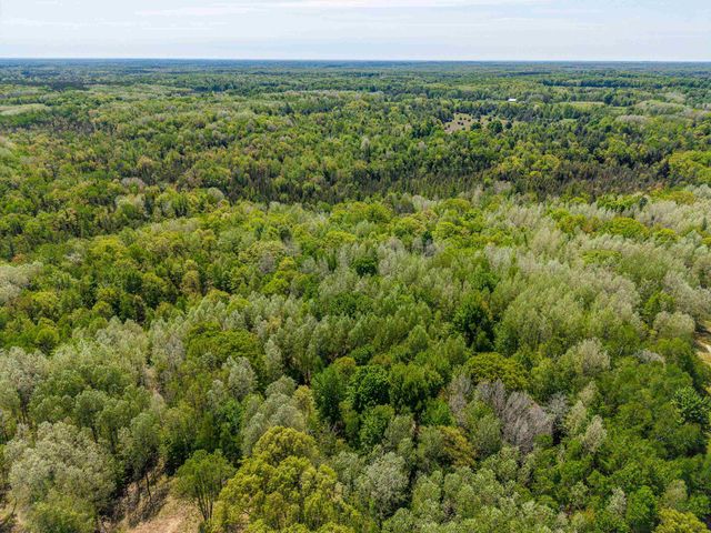 6720 N Rodgers Avenue, Harrison, MI 48625