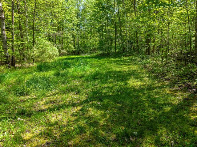 6720 N Rodgers Avenue, Harrison, MI 48625