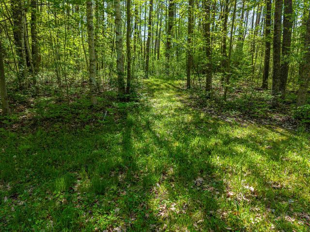 6720 N Rodgers Avenue, Harrison, MI 48625
