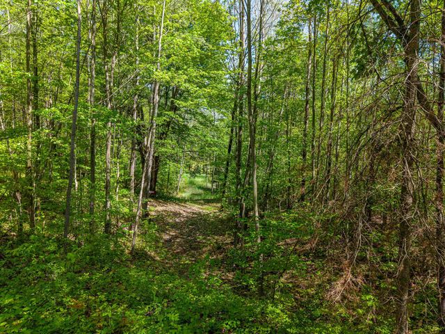 6720 N Rodgers Avenue, Harrison, MI 48625