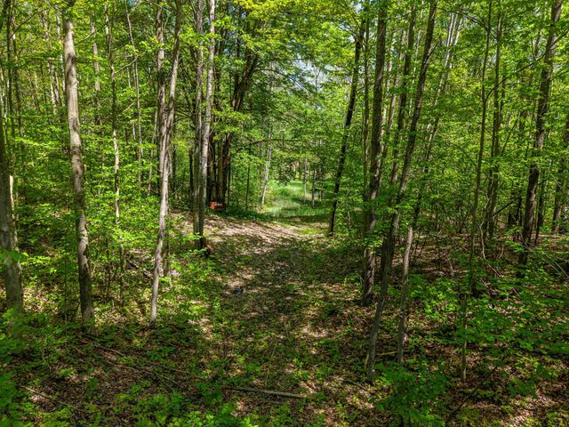 6720 N Rodgers Avenue, Harrison, MI 48625