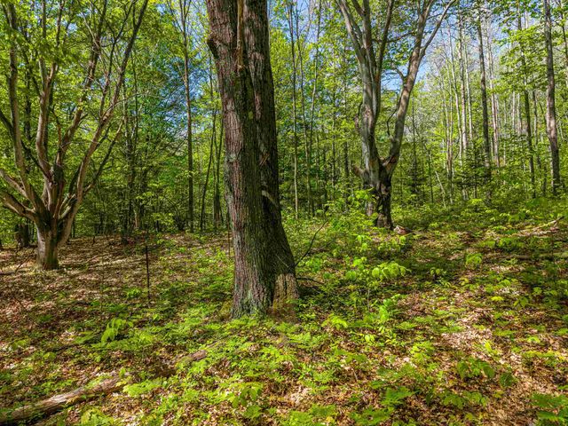 6720 N Rodgers Avenue, Harrison, MI 48625