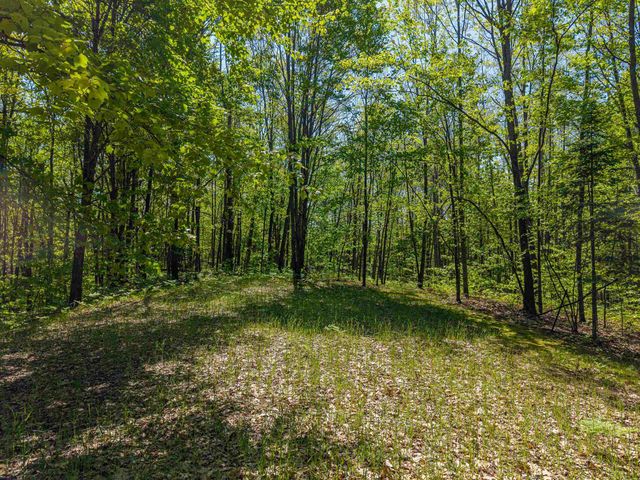6720 N Rodgers Avenue, Harrison, MI 48625