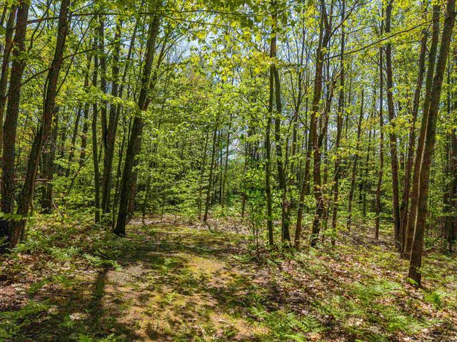 6720 N Rodgers Avenue, Harrison, MI 48625