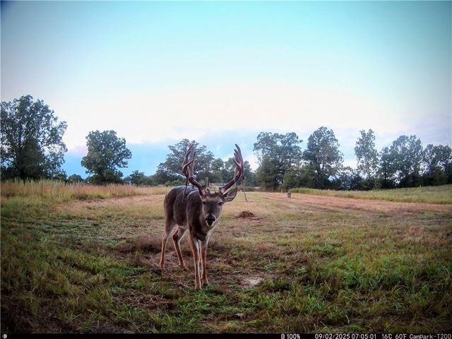 17300 Bethlehem Road, Winslow, AR 72959